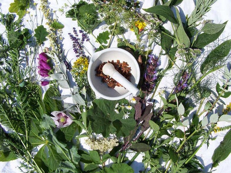 potential treatment with herbs