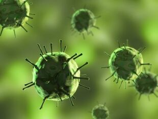 Bacteria cause a disease where mucous secretion appears