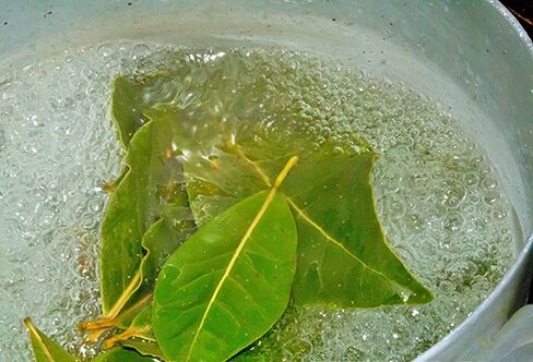 Bay leaf decoction for a relaxing bath for potential problems