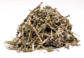Ivan tea for potential
